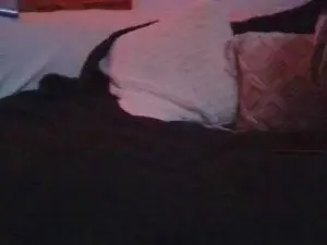 Cam4 Live Porn of Couple_londonw1