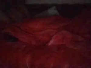 Cam4 Free Porn Cam of Couple_londonw1