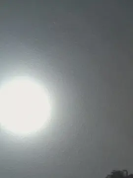 Cam4 Free Porn Cam of JAVIERAMIREZ232