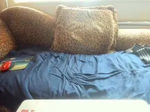 Cam4 Adult Video Chat of luvbigcocks_cum