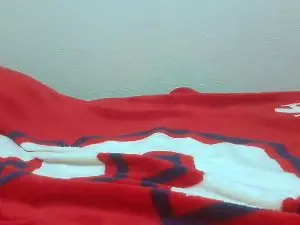 Cam4 Adult Webcam of swimneo