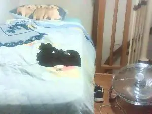 Cam4 Watch Live Sex Cams of bulldotatosexy