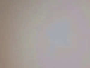 Cam4 Sex Cam of paulolx