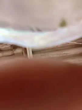 Cam4 Free Porn Cam of oso4054