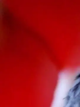 Cam4 Live Porn of Sofi9621