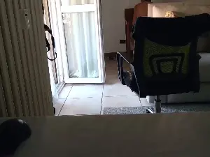 Cam4 Live Porn of klausdog