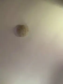 Cam4 Adult Webcam of afroditasexy