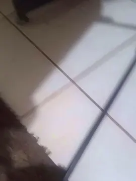 Cam4 Live Sex Cam of DaghdaLugh