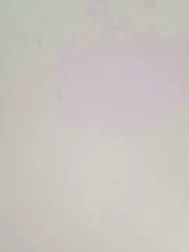 Cam4 Free Live Porn of Reflej0