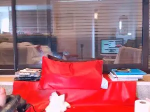 Cam4 Watch Live Sex Cams of pigjebX