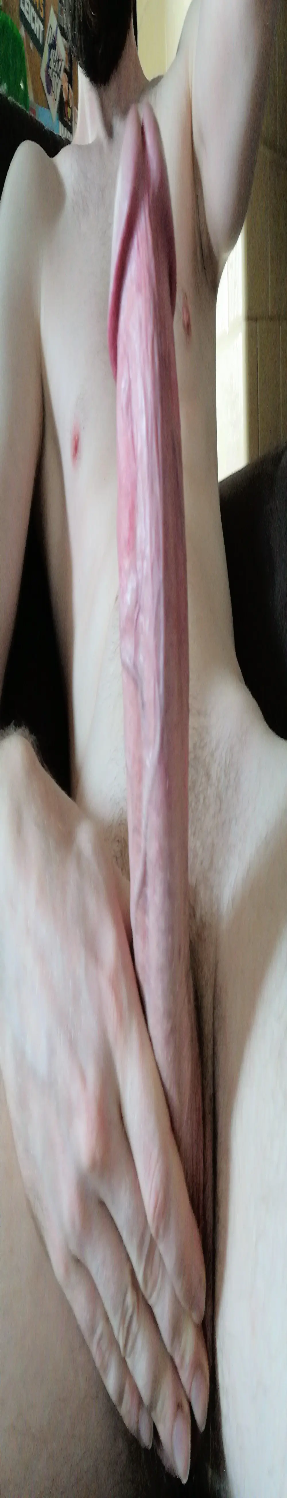 Leuzius