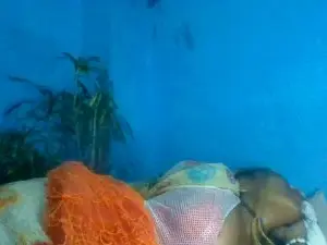 Cam4 Best live sex cam show of avrilas