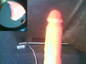 Cam4 Best live sex cam show of Weezer82