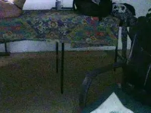 Cam4 Adult Webcams of FelinaMza