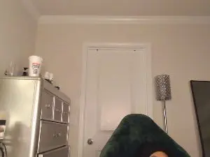 Cam4 Free Live Porn of Butterflybootyy