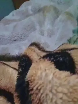 Cam4 Private Sex Chat of Parejareal86