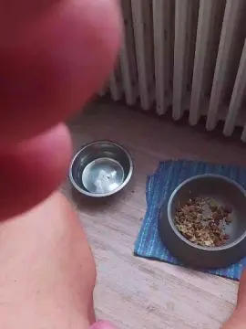 Cam4 Sex Cam of Cummer51