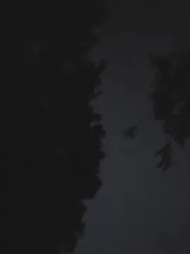 Cam4 Free Porn Cam of Edotenseifr