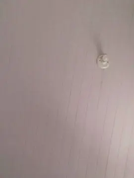 Cam4 Free Live Porn of Casal2k26