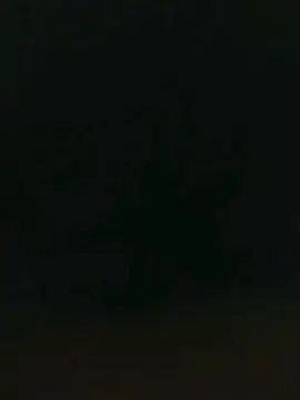 Cam4 Sex Chat of pregnanhot