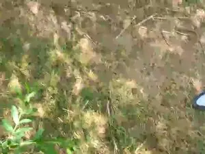 Cam4 Best live sex cam show of gay428