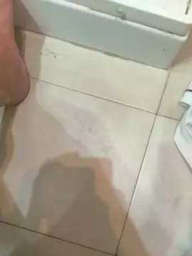Cam4 Live Porn of Swuosh