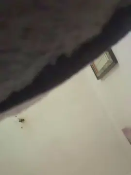 Cam4 Adult Webcam of lukettosanba
