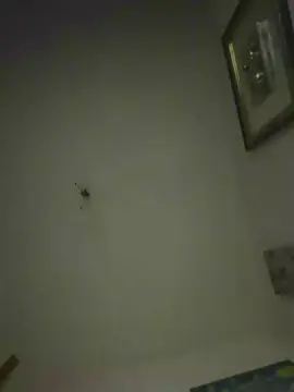 Cam4 Best Webcam of lukettosanba