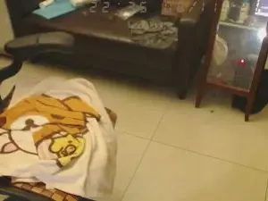 Cam4 Adult Webcam of m0909753