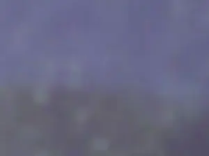 Cam4 Adult Webcams of jc83170