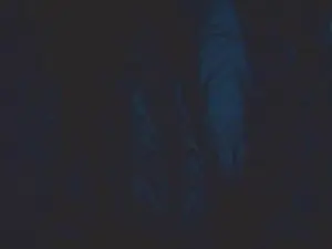 Cam4 Sex Chat of betopela