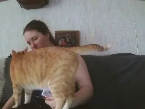 Cam4 Live Porn of hotwife2026