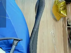 Cam4 Live Porn of George_Diesell