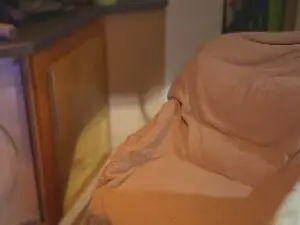 Cam4 Free Porn Cam of djhants