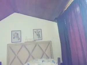 Cam4 Adult Webcam of Miss_Casius