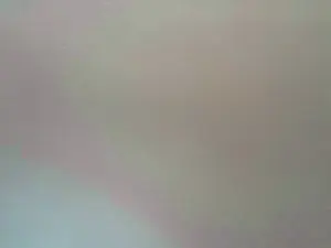 Cam4 Live Sex Cam of usualbear