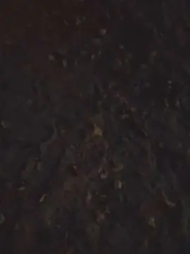 Cam4 Live Sex Cam of denn190fu_xxx