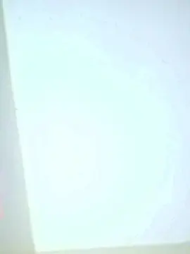 Cam4 Live Sex Cam of Cerveza4