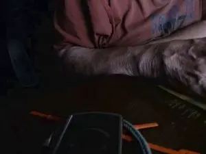 Cam4 Watch Live Sex Cams of hygge1