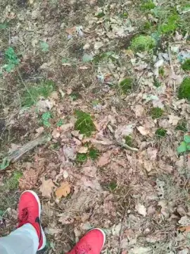 Cam4 Sex Cam of RealPolandMan