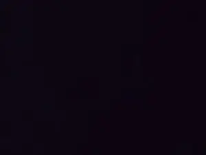 Cam4 Live Sex of Foxyyyie