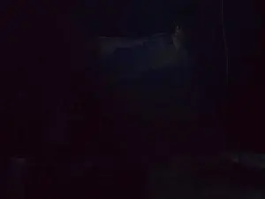 Cam4 Best live sex cam show of Foxyyyie