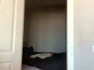 Cam4 Free Porn Cam of AlodiaGoodrich