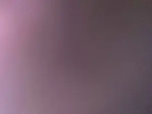 Cam4 Free Porn Cam of Nicki