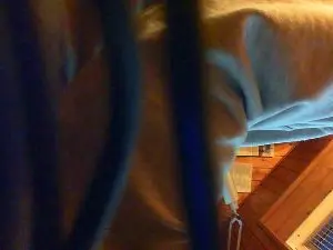 Cam4 Private Sex Chat of GermanyHBJens