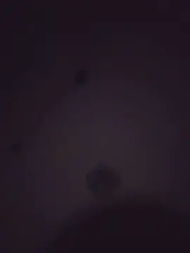 Cam4 Free Porn Cam of Mau00