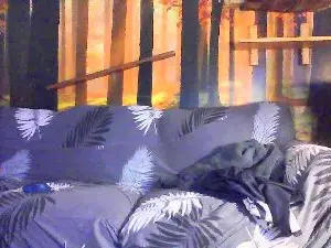 Cam4 Best Webcam of hornybigerman76