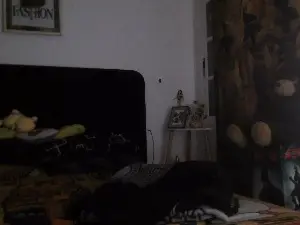 Cam4 Best live sex cam show of violeta186