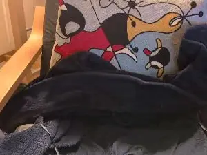 Cam4 Adult Webcam of gaymarried40