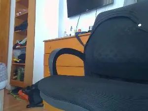 Cam4 Best Webcam of lost_person